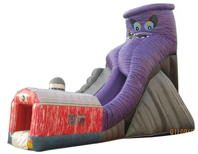 Inflatable water slide