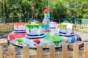 FRANCE PARK PROJECT