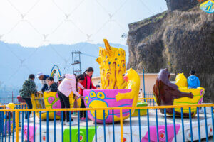 NEPAL PARK PROJECT