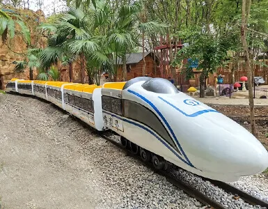 Big track train
