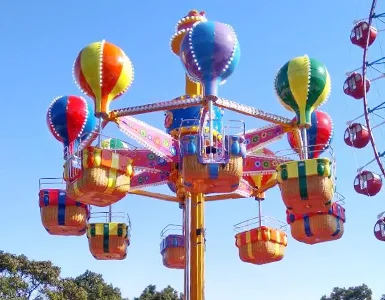 Thrill ride for sale