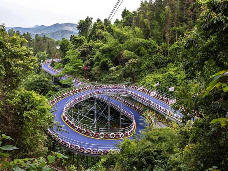 Alpine slide track descending a forested mountain slope